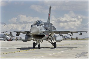 D7T_4534